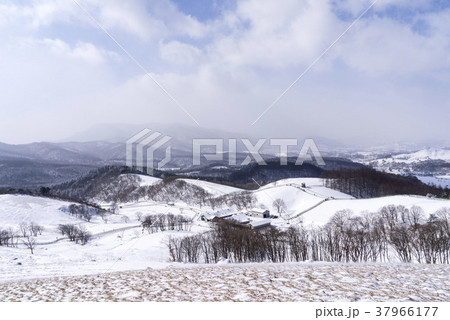 冬 雪景色 自然 37966177