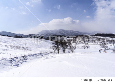 冬 雪景色 自然 37966183