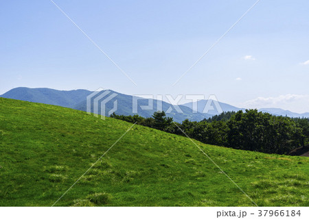 屋外 室外 両 37966184