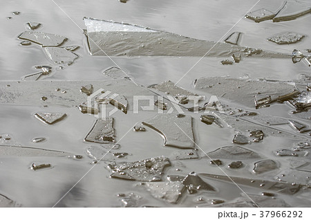 水たまりが凍った氷(結氷)が割れた 水たまりが凍った氷(結氷)が割れた 37966292