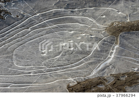 水たまりが凍った表面（結氷） 37966294