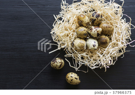 Easter greeting card Quail eggs in hay nest on 37966375