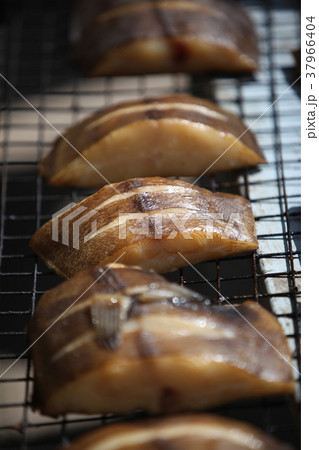 EUROPE LITHUANIA 37966404