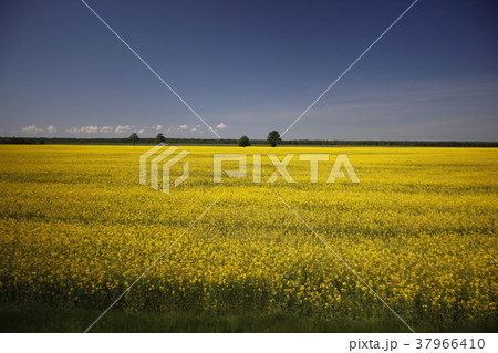 EUROPE LITHUANIA 37966410