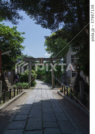 京都三条の鳥居と石段 37967136