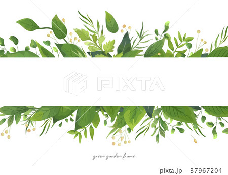 Vector card floral design with green fern leaves Vector card floral design with green fern leaves 37967204