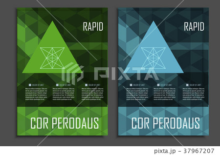 Vector brochures template for presentations Vector brochures template for presentations 37967207