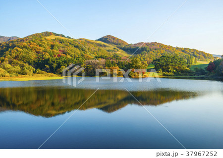紅葉 山 忠南 37967252