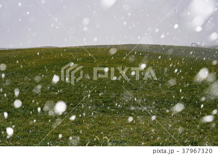 山 忠南 空 37967320