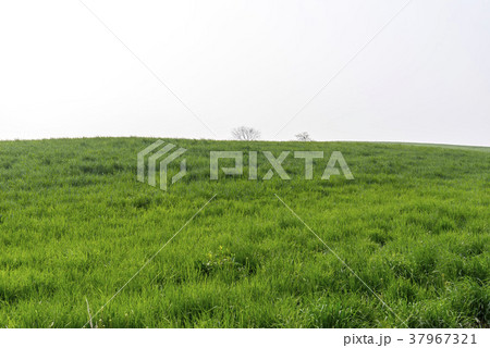 風景 季節 雲 37967321
