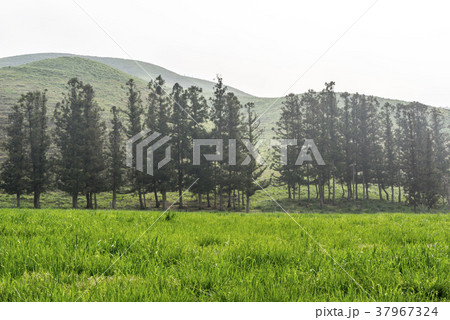 季節 山 忠南 37967324