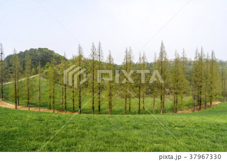 山 空 木 37967330