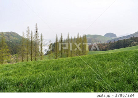 季節 山 忠南 37967334