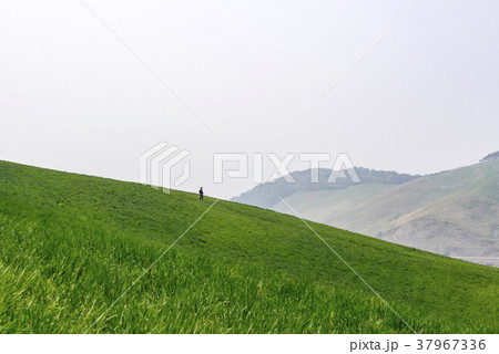 山 空 韓国 37967336