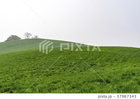 季節 山 忠南 37967343