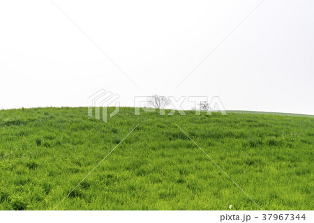 山 空 韓国 37967344