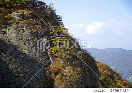 風景 木 山 37967489