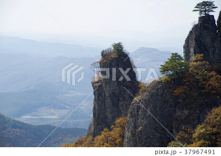 風景 木 山 37967491