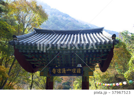 風景 自然 屋外 37967523