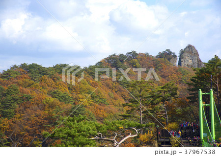 風景 空 山 37967538