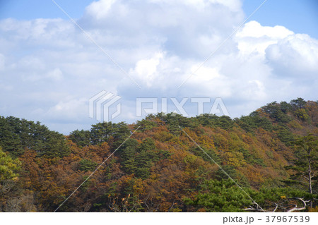 風景 空 山 37967539