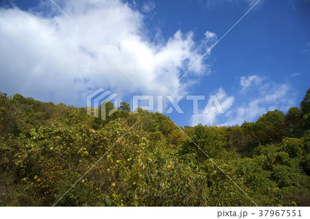 風景 空 木 37967551