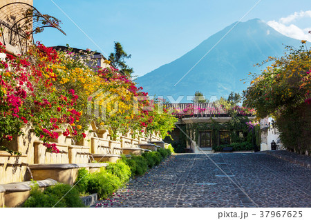 Antigua Antigua 37967625