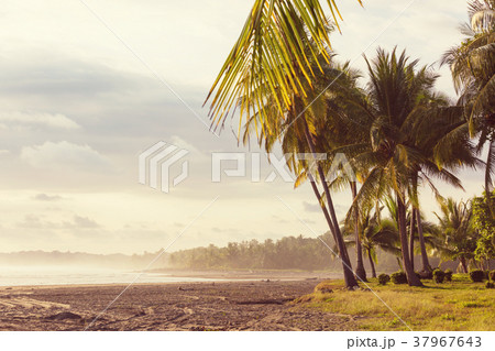 Coast in Costa Rica Coast in Costa Rica 37967643