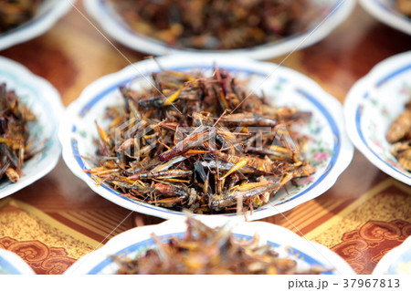 ASIA SOUTHEASTASIA LAOS VIENTIANE 37967813