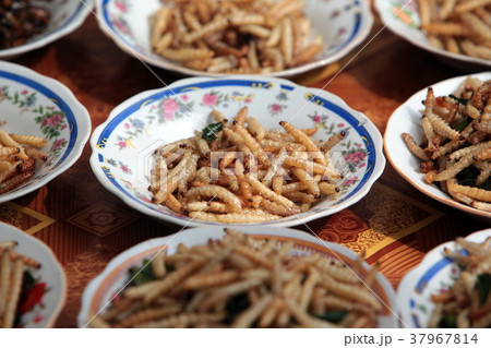 ASIA SOUTHEASTASIA LAOS VIENTIANE ASIA SOUTHEASTASIA LAOS VIENTIANE 37967814