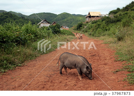 ASIA SOUTHEASTASIA LAOS VANG VIENG LUANG PRABANG 37967873