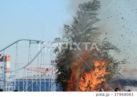 どんど焼きの風景 どんど焼きの風景 37968063
