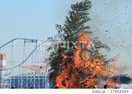 どんど焼きの風景 37968064