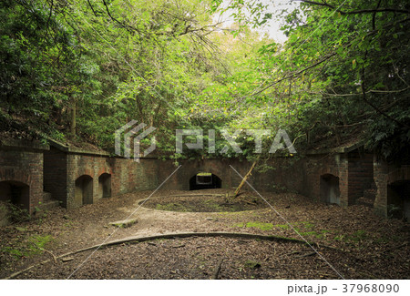 和歌山県・友ヶ島 37968090