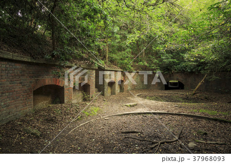 和歌山県・友ヶ島 37968093