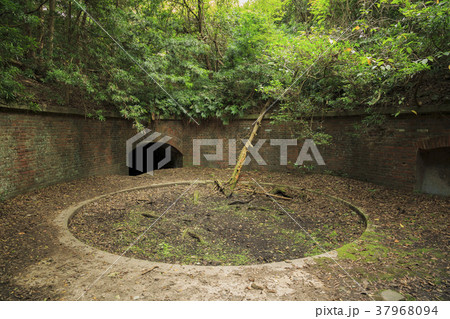 和歌山県・友ヶ島 37968094