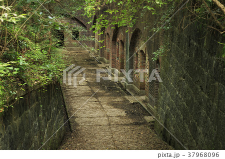 和歌山県・友ヶ島 37968096