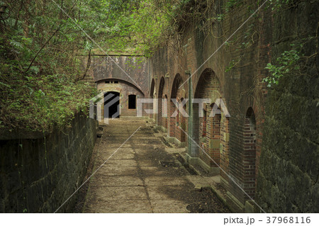 和歌山県・友ヶ島 37968116