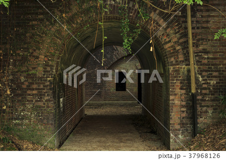 和歌山県・友ヶ島 37968126