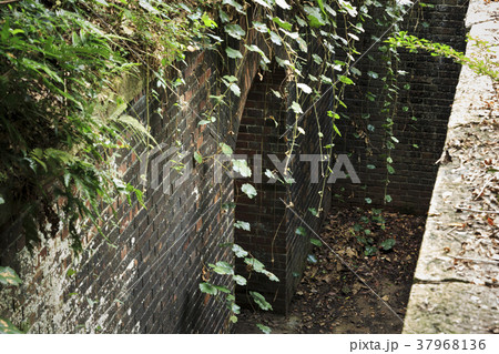 和歌山県・友ヶ島 37968136