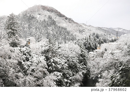 山中温泉 雪の鶴仙渓（石川県 加賀市） 37968602