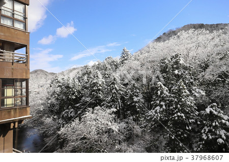 山中温泉 雪の鶴仙渓（石川県 加賀市） 37968607