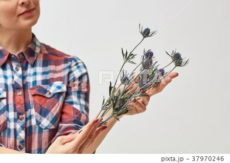 Young girl with flowers eryngium Young girl with flowers eryngium 37970246