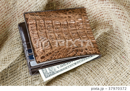 Wallet Wallet 37970372