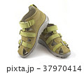 Green shoes on white background 37970414