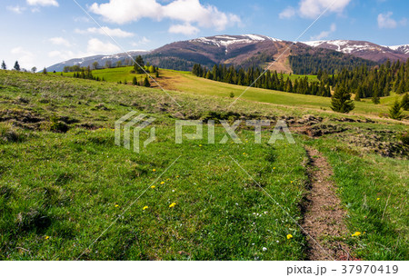 grassy fields on rolling hills 37970419