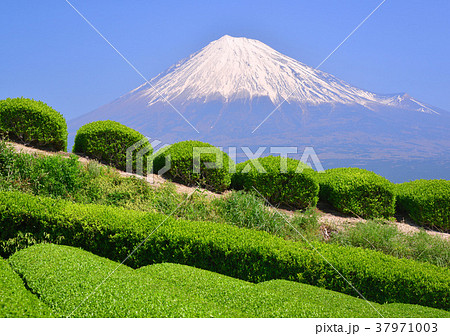 岩本山からの春の風景-333019 岩本山からの春の風景-333019 37971003