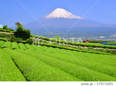 岩本山からの春の風景-333020 岩本山からの春の風景-333020 37971005