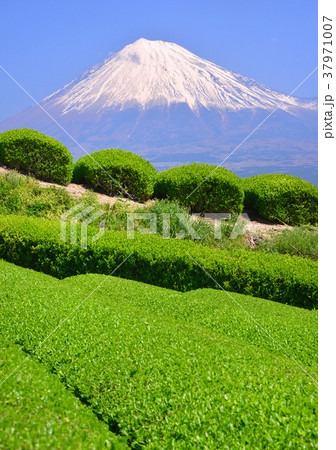 岩本山からの春の風景-333023 37971007