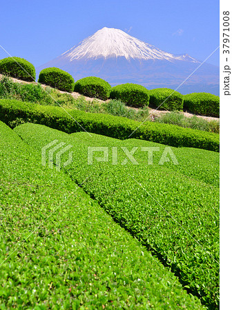 岩本山からの春の風景-333024 37971008